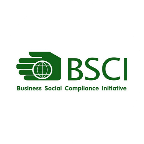 A06. BCSI-Logo-03
